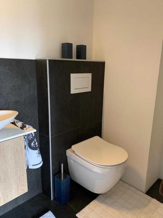 La Jacinthe De Crans Apartment Екстериор снимка