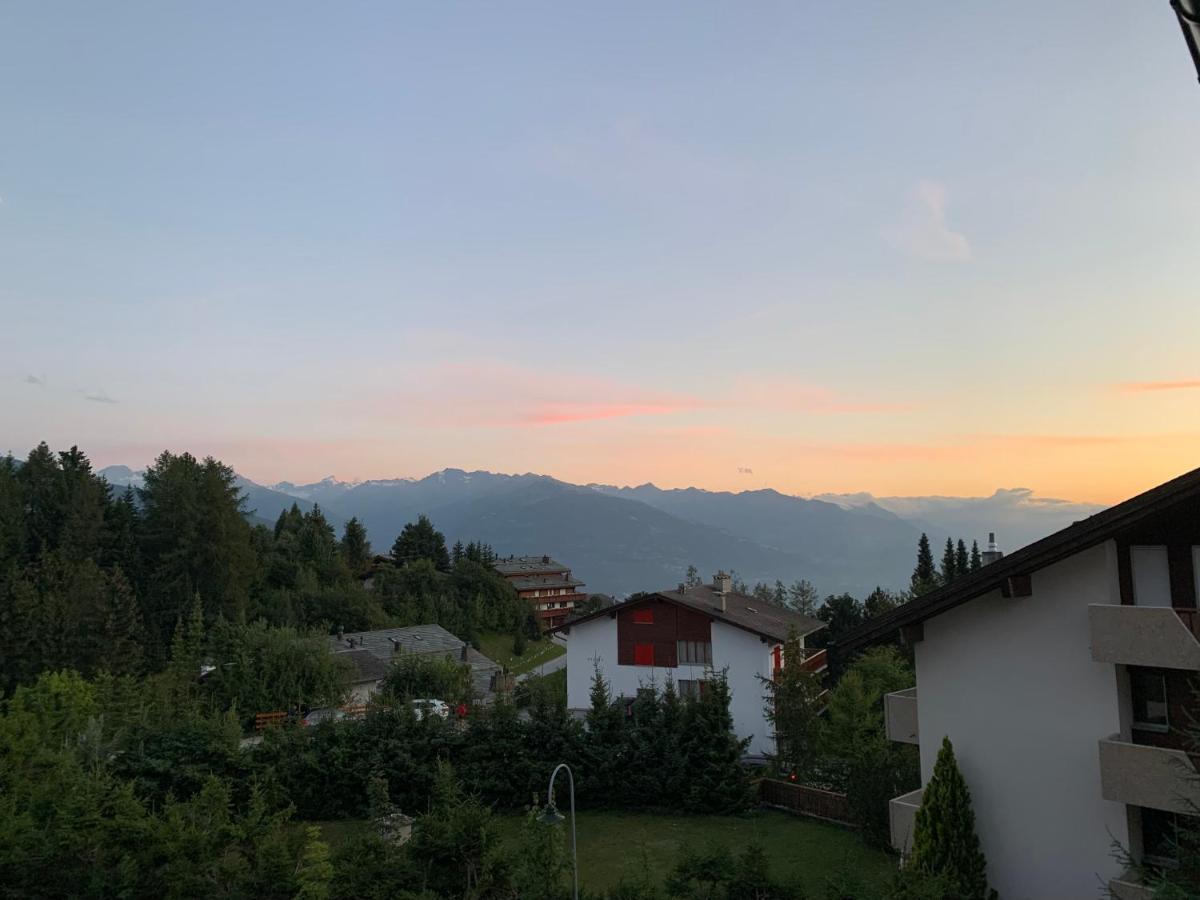 La Jacinthe De Crans Apartment Екстериор снимка