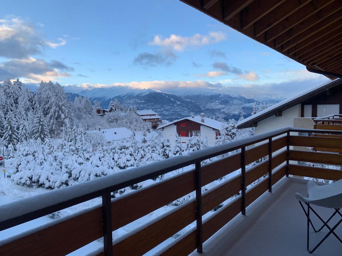 La Jacinthe De Crans Apartment Екстериор снимка