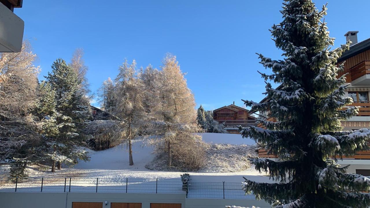 La Jacinthe De Crans Apartment Екстериор снимка